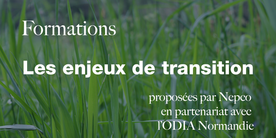 Les enjeux de transition